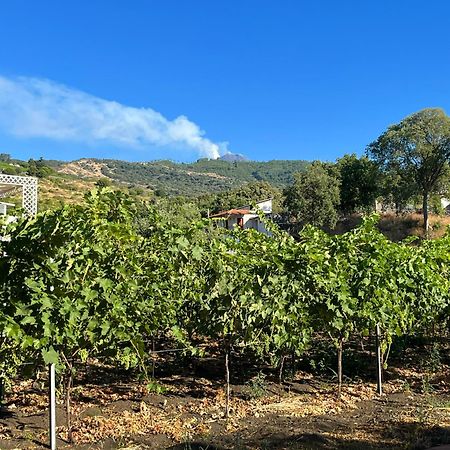 Bee Happy - Bed And Breakfast Zafferana Etnea Εξωτερικό φωτογραφία