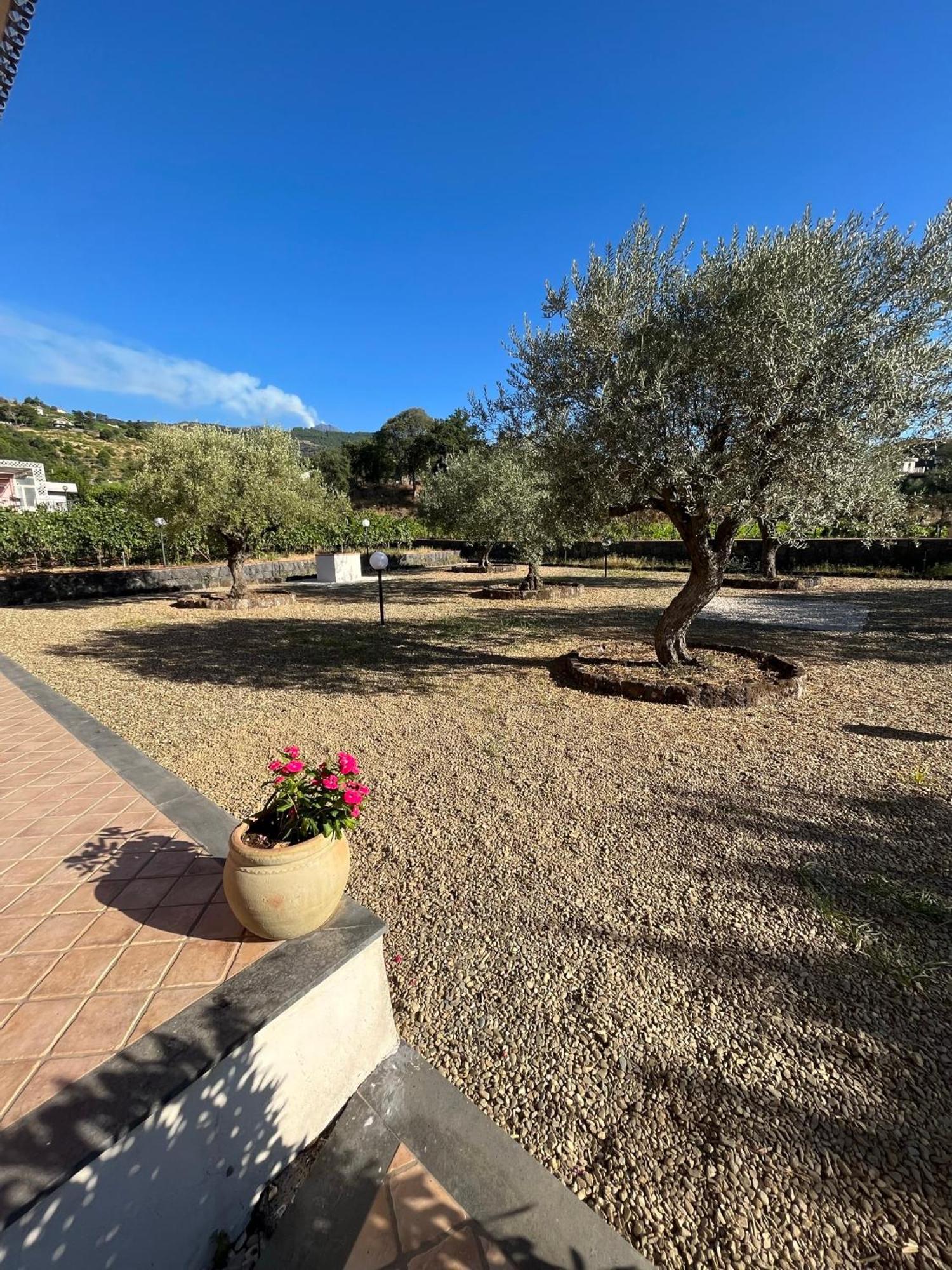 Bee Happy - Bed And Breakfast Zafferana Etnea Εξωτερικό φωτογραφία